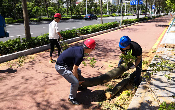 龙门客栈港澳资料库链